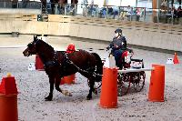 Photo n 46552&#10;Indoor DEAUVILLE 2019 Photo N. TOUDIC&#10;Eric LAVILLE&#10;Affiche 7 fois&#10;Ajoute le 14/03/2019 11:35:39 par Nadinetoudic&#10;&#10;--> Cliquer pour agrandir <--