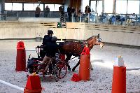 Photo n 46553&#10;Indoor DEAUVILLE 2019 Photo N. TOUDIC&#10;Eric LAVILLE&#10;Affiche 8 fois&#10;Ajoute le 14/03/2019 11:35:39 par Nadinetoudic&#10;&#10;--> Cliquer pour agrandir <--