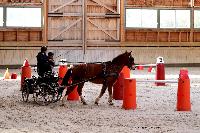 Photo n 46554&#10;Indoor DEAUVILLE 2019 Photo N. TOUDIC&#10;Marie VAUQUIER&#10;Affiche 9 fois&#10;Ajoute le 14/03/2019 11:35:39 par Nadinetoudic&#10;&#10;--> Cliquer pour agrandir <--