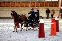 Photo n 46555&#10;Indoor DEAUVILLE 2019 Photo N. TOUDIC&#10;Marie VAUQUIER&#10;Affiche 12 fois&#10;Ajoute le 14/03/2019 11:35:39 par Nadinetoudic&#10;&#10;--> Cliquer pour agrandir <--