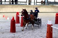 Photo n 46557&#10;Indoor DEAUVILLE 2019 Photo N. TOUDIC&#10;Marie VAUQUIER&#10;Affiche 38 fois&#10;Ajoute le 14/03/2019 11:35:39 par Nadinetoudic&#10;&#10;--> Cliquer pour agrandir <--
