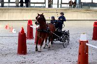 Photo n 46558&#10;Indoor DEAUVILLE 2019 Photo N. TOUDIC&#10;Marie VAUQUIER&#10;Affiche 8 fois&#10;Ajoute le 14/03/2019 11:35:39 par Nadinetoudic&#10;&#10;--> Cliquer pour agrandir <--