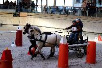 Photo n 46564&#10;Indoor DEAUVILLE 2019 Photo N. TOUDIC&#10;Christophe DUCLOS&#10;Affiche 37 fois&#10;Ajoute le 14/03/2019 11:35:40 par Nadinetoudic&#10;&#10;--> Cliquer pour agrandir <--