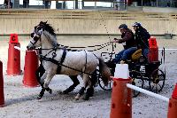 Photo n 46565&#10;Indoor DEAUVILLE 2019 Photo N. TOUDIC&#10;Christophe DUCLOS&#10;Affiche 14 fois&#10;Ajoute le 14/03/2019 11:35:40 par Nadinetoudic&#10;&#10;--> Cliquer pour agrandir <--