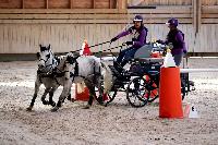 Photo n 46566&#10;Indoor DEAUVILLE 2019 Photo N. TOUDIC&#10;Pnlope BROOKE&#10;Affiche 23 fois&#10;Ajoute le 14/03/2019 11:35:40 par Nadinetoudic&#10;&#10;--> Cliquer pour agrandir <--