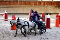 Photo n 46567&#10;Indoor DEAUVILLE 2019 Photo N. TOUDIC&#10;Pnlope BROOKE&#10;Affiche 14 fois&#10;Ajoute le 14/03/2019 11:35:40 par Nadinetoudic&#10;&#10;--> Cliquer pour agrandir <--