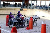 Photo n 46570&#10;Indoor DEAUVILLE 2019 Photo N. TOUDIC&#10;Pnlope BROOKE&#10;Affiche 10 fois&#10;Ajoute le 14/03/2019 11:35:40 par Nadinetoudic&#10;&#10;--> Cliquer pour agrandir <--