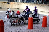 Photo n 46571&#10;Indoor DEAUVILLE 2019 Photo N. TOUDIC&#10;Pnlope BROOKE&#10;Affiche 11 fois&#10;Ajoute le 14/03/2019 11:35:40 par Nadinetoudic&#10;&#10;--> Cliquer pour agrandir <--