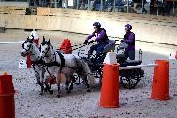 Photo n° 46571
Indoor DEAUVILLE 2019 Photo N. TOUDIC
Pénélope BROOKE
Affichée 9 fois
Ajoutée le 14/03/2019 11:35:40 par Nadinetoudic

--> Cliquer pour agrandir <--