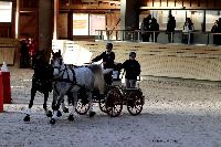 Photo n 46572&#10;Indoor DEAUVILLE 2019 Photo N. TOUDIC&#10;Laetitia MARICOURT&#10;Affiche 25 fois&#10;Ajoute le 14/03/2019 11:35:40 par Nadinetoudic&#10;&#10;--> Cliquer pour agrandir <--