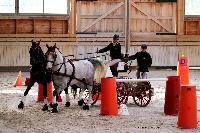 Photo n 46574&#10;Indoor DEAUVILLE 2019 Photo N. TOUDIC&#10;Laetitia MARICOURT&#10;Affiche 19 fois&#10;Ajoute le 14/03/2019 11:35:40 par Nadinetoudic&#10;&#10;--> Cliquer pour agrandir <--