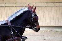 Photo n 46577&#10;Indoor DEAUVILLE 2019 Photo N. TOUDIC&#10;Laetitia MARICOURT&#10;Affiche 13 fois&#10;Ajoute le 14/03/2019 11:35:40 par Nadinetoudic&#10;&#10;--> Cliquer pour agrandir <--