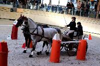 Photo n 46578&#10;Indoor DEAUVILLE 2019 Photo N. TOUDIC&#10;Laetitia MARICOURT&#10;Affiche 19 fois&#10;Ajoute le 14/03/2019 11:35:40 par Nadinetoudic&#10;&#10;--> Cliquer pour agrandir <--
