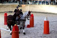 Photo n 46579&#10;Indoor DEAUVILLE 2019 Photo N. TOUDIC&#10;Laetitia MARICOURT&#10;Affiche 13 fois&#10;Ajoute le 14/03/2019 11:35:40 par Nadinetoudic&#10;&#10;--> Cliquer pour agrandir <--