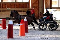 Photo n 46581&#10;Indoor DEAUVILLE 2019 Photo N. TOUDIC&#10;Fabien GUILLEMARRE&#10;Affiche 14 fois&#10;Ajoute le 14/03/2019 11:35:40 par Nadinetoudic&#10;&#10;--> Cliquer pour agrandir <--
