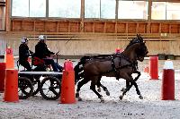 Photo n 46583&#10;Indoor DEAUVILLE 2019 Photo N. TOUDIC&#10;Fabien GUILLEMARRE&#10;Affiche 8 fois&#10;Ajoute le 14/03/2019 11:35:40 par Nadinetoudic&#10;&#10;--> Cliquer pour agrandir <--