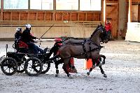 Photo n 46584&#10;Indoor DEAUVILLE 2019 Photo N. TOUDIC&#10;Fabien GUILLEMARRE&#10;Affiche 9 fois&#10;Ajoute le 14/03/2019 11:35:40 par Nadinetoudic&#10;&#10;--> Cliquer pour agrandir <--
