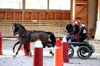 Photo n 46586&#10;Indoor DEAUVILLE 2019 Photo N. TOUDIC&#10;Fabien GUILLEMARRE&#10;Affiche 13 fois&#10;Ajoute le 14/03/2019 11:35:40 par Nadinetoudic&#10;&#10;--> Cliquer pour agrandir <--