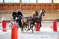 Photo n° 46587
Indoor DEAUVILLE 2019 Photo N. TOUDIC
Fabien GUILLEMARRE
Affichée 15 fois
Ajoutée le 14/03/2019 11:35:40 par Nadinetoudic

--> Cliquer pour agrandir <--