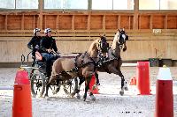 Photo n 46588&#10;Indoor DEAUVILLE 2019 Photo N. TOUDIC&#10;Fabien GUILLEMARRE&#10;Affiche 23 fois&#10;Ajoute le 14/03/2019 11:35:40 par Nadinetoudic&#10;&#10;--> Cliquer pour agrandir <--