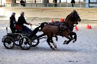Photo n 46589&#10;Indoor DEAUVILLE 2019 Photo N. TOUDIC&#10;Fabien GUILLEMARRE&#10;Affiche 14 fois&#10;Ajoute le 14/03/2019 11:35:40 par Nadinetoudic&#10;&#10;--> Cliquer pour agrandir <--