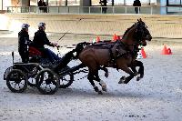 Photo n° 46589
Indoor DEAUVILLE 2019 Photo N. TOUDIC
Fabien GUILLEMARRE
Affichée 12 fois
Ajoutée le 14/03/2019 11:35:40 par Nadinetoudic

--> Cliquer pour agrandir <--