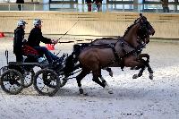 Photo n 46590&#10;Indoor DEAUVILLE 2019 Photo N. TOUDIC&#10;Fabien GUILLEMARRE&#10;Affiche 45 fois&#10;Ajoute le 14/03/2019 11:35:40 par Nadinetoudic&#10;&#10;--> Cliquer pour agrandir <--
