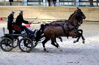 Photo n° 46590
Indoor DEAUVILLE 2019 Photo N. TOUDIC
Fabien GUILLEMARRE
Affichée 43 fois
Ajoutée le 14/03/2019 11:35:40 par Nadinetoudic

--> Cliquer pour agrandir <--