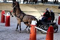 Photo n 46591&#10;Indoor DEAUVILLE 2019 Photo N. TOUDIC&#10;Fabien GUILLEMARRE&#10;Affiche 43 fois&#10;Ajoute le 14/03/2019 11:35:40 par Nadinetoudic&#10;&#10;--> Cliquer pour agrandir <--