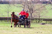 Photo n 46616&#10;AUBE 2019. Photo Nadine TOUDIC&#10;Thierry GOUPIL&#10;Affiche 8 fois&#10;Ajoute le 26/03/2019 18:34:26 par Nadinetoudic&#10;&#10;--> Cliquer pour agrandir <--