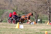 Photo n 46617&#10;AUBE 2019. Photo Nadine TOUDIC&#10;Thierry GOUPIL&#10;Affiche 9 fois&#10;Ajoute le 26/03/2019 18:34:26 par Nadinetoudic&#10;&#10;--> Cliquer pour agrandir <--