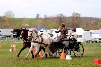 Photo n 46972&#10;EVREUX 2019. Photo Nadine TOUDIC&#10;Christophe DUCLOS&#10;Affiche 14 fois&#10;Ajoute le 10/04/2019 14:35:11 par Nadinetoudic&#10;&#10;--> Cliquer pour agrandir <--