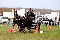 Photo n 46980&#10;EVREUX 2019. Photo Nadine TOUDIC&#10;Sbastien VINCENT&#10;Affiche 15 fois&#10;Ajoute le 10/04/2019 14:35:11 par Nadinetoudic&#10;&#10;--> Cliquer pour agrandir <--