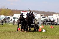 Photo n° 46987
EVREUX 2019. Photo Nadine TOUDIC
Loïc ROHAUT
Affichée 52 fois
Ajoutée le 10/04/2019 14:35:11 par Nadinetoudic

--> Cliquer pour agrandir <--