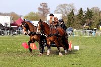 Photo n 46995&#10;EVREUX 2019. Photo Nadine TOUDIC&#10;Patrick DESBOIS&#10;Affiche 18 fois&#10;Ajoute le 10/04/2019 14:35:12 par Nadinetoudic&#10;&#10;--> Cliquer pour agrandir <--