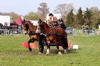 Photo n° 46995
EVREUX 2019. Photo Nadine TOUDIC
Patrick DESBOIS
Affichée 16 fois
Ajoutée le 10/04/2019 14:35:12 par Nadinetoudic

--> Cliquer pour agrandir <--