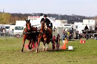 Photo n 47000&#10;EVREUX 2019. Photo Nadine TOUDIC&#10;Pascal GELOEN&#10;Affiche 18 fois&#10;Ajoute le 10/04/2019 14:35:12 par Nadinetoudic&#10;&#10;--> Cliquer pour agrandir <--