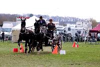 Photo n 47002&#10;EVREUX 2019. Photo Nadine TOUDIC&#10;Gilles MOUSSU&#10;Affiche 14 fois&#10;Ajoute le 10/04/2019 14:35:12 par Nadinetoudic&#10;&#10;--> Cliquer pour agrandir <--