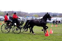 Photo n° 47006
EVREUX 2019. Photo Nadine TOUDIC
Diane DELMAS
Affichée 15 fois
Ajoutée le 10/04/2019 14:35:12 par Nadinetoudic

--> Cliquer pour agrandir <--