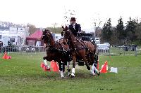 Photo n° 47012
EVREUX 2019. Photo Nadine TOUDIC
Fabien GUILLEMARRE
Affichée 11 fois
Ajoutée le 10/04/2019 14:35:12 par Nadinetoudic

--> Cliquer pour agrandir <--