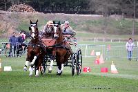 Photo n 47027&#10;EVREUX 2019. Photo Nadine TOUDIC&#10;Eve CADI VERNA&#10;Affiche 21 fois&#10;Ajoute le 10/04/2019 14:35:12 par Nadinetoudic&#10;&#10;--> Cliquer pour agrandir <--