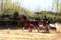 Photo n 47094&#10;Notre Dame de Gravenchon. Chez Pascal PICARD&#10;Ilona CHENU&#10;Affiche 18 fois&#10;Ajoute le 15/04/2019 12:20:23 par Nadinetoudic&#10;&#10;--> Cliquer pour agrandir <--