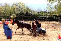 Photo n° 47096
Notre Dame de Gravenchon. Chez Pascal PICARD
Ilona CHENU
Affichée 6 fois
Ajoutée le 15/04/2019 12:20:23 par Nadinetoudic

--> Cliquer pour agrandir <--