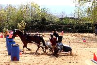 Photo n° 47097
Notre Dame de Gravenchon. Chez Pascal PICARD
Ilona CHENU
Affichée 8 fois
Ajoutée le 15/04/2019 12:20:23 par Nadinetoudic

--> Cliquer pour agrandir <--