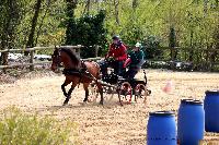 Photo n 47129&#10;Notre Dame de Gravenchon. Chez Pascal PICARD&#10;Bruno HIS&#10;Affiche 6 fois&#10;Ajoute le 15/04/2019 12:20:24 par Nadinetoudic&#10;&#10;--> Cliquer pour agrandir <--
