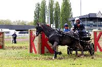 Photo n° 47441
CAIP LISEUX 2019

Affichée 6 fois
Ajoutée le 15/05/2019 15:20:21 par JeanClaudeGrognet

--> Cliquer pour agrandir <--