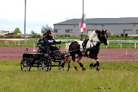 Photo n° 47443
CAIP LISEUX 2019

Affichée 7 fois
Ajoutée le 15/05/2019 15:20:21 par JeanClaudeGrognet

--> Cliquer pour agrandir <--