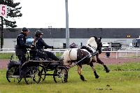 Photo n° 47444
CAIP LISEUX 2019

Affichée 6 fois
Ajoutée le 15/05/2019 15:20:21 par JeanClaudeGrognet

--> Cliquer pour agrandir <--