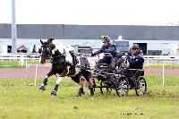 Photo n 47448&#10;CAIP LISEUX 2019&#10;&#10;Affiche 9 fois&#10;Ajoute le 15/05/2019 15:20:21 par JeanClaudeGrognet&#10;&#10;--> Cliquer pour agrandir <--