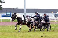 Photo n° 47449
CAIP LISEUX 2019

Affichée 6 fois
Ajoutée le 15/05/2019 15:20:21 par JeanClaudeGrognet

--> Cliquer pour agrandir <--